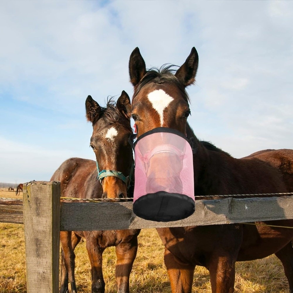 Multi-color Leak-Proof Horse F - Mesh Feeder Bag recension och pris