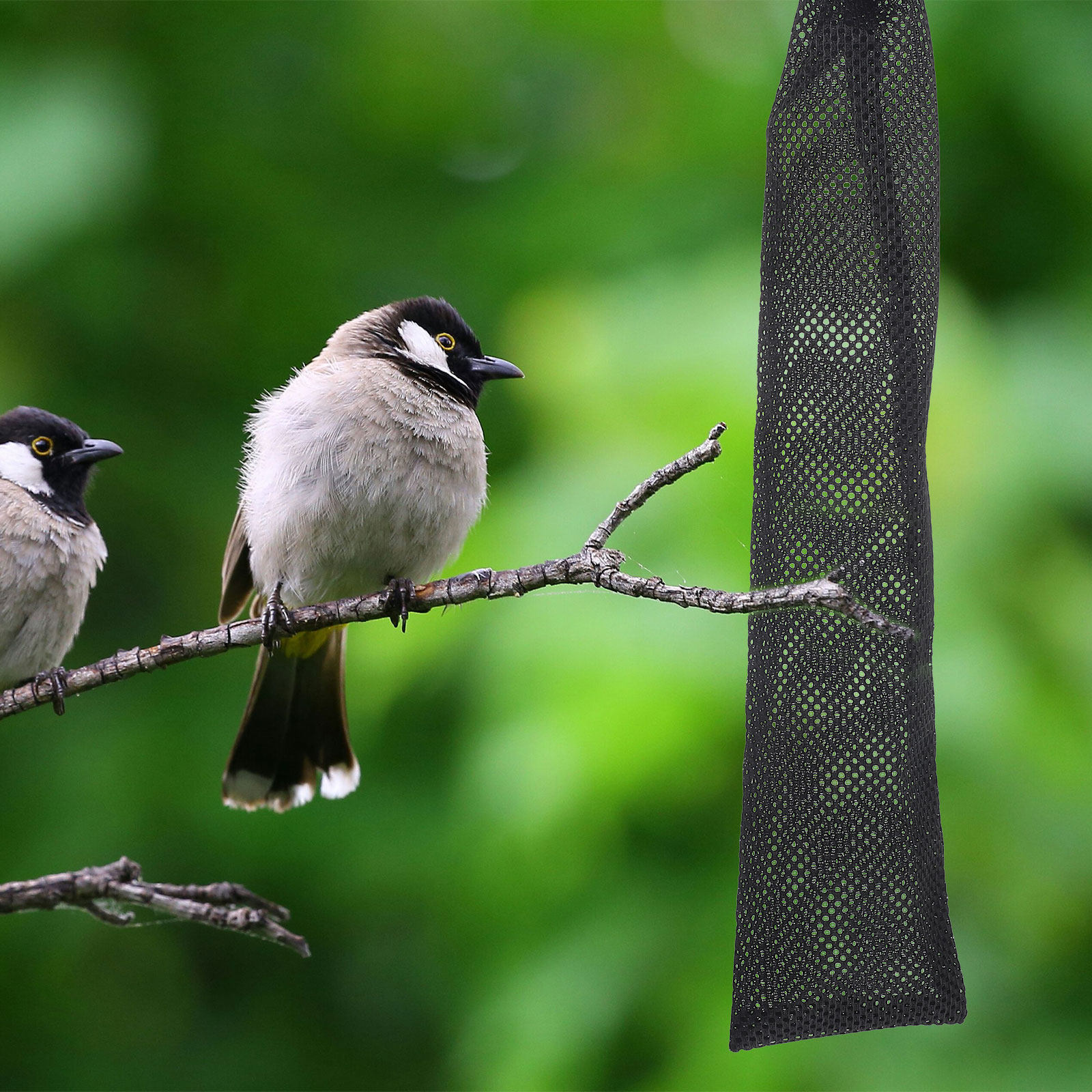 3Pcs Birds Feeding Bags Nylon  - Mesh Feeder Bag recension och pris