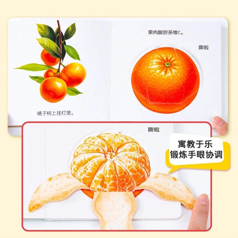 Infant Food Education Flipbook - Baby Food Year Old recension och pris